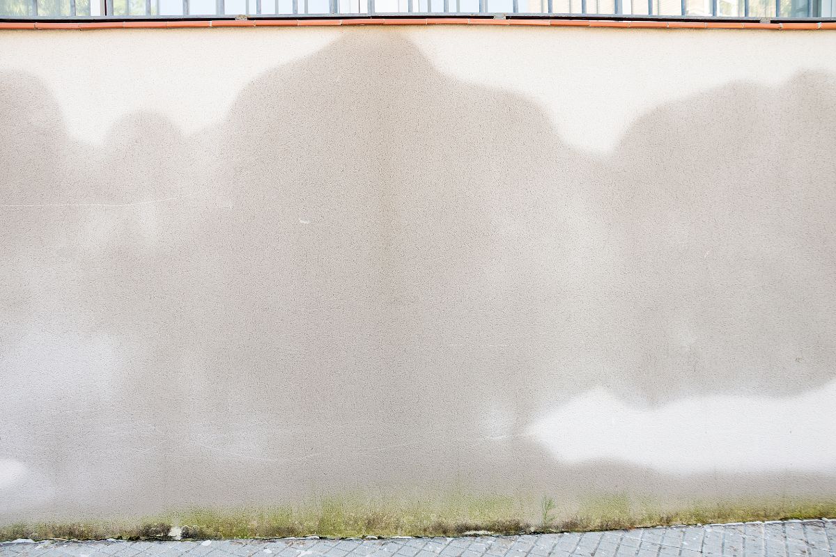 secado de pared con humedad