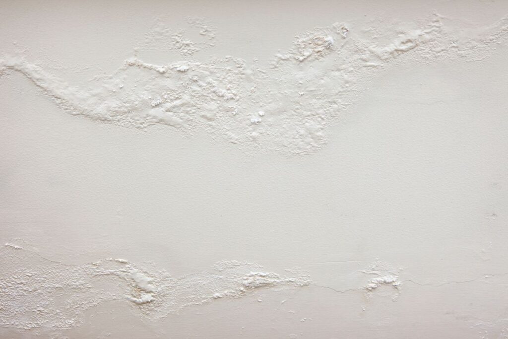 humedad en papel pintado