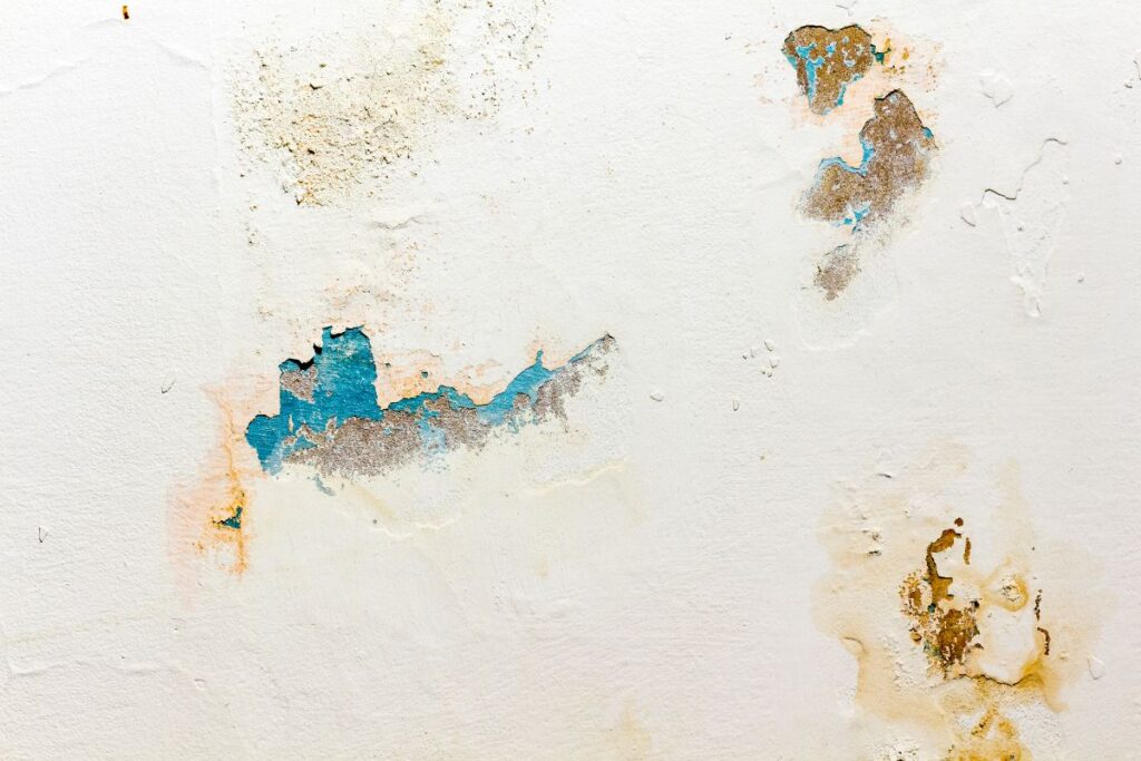 humedad en pared
